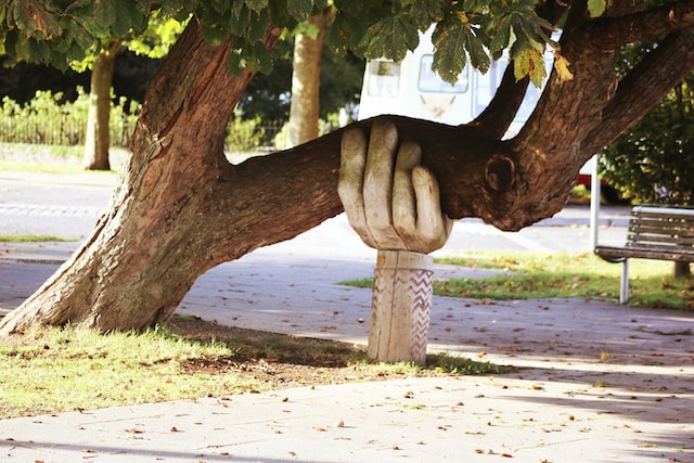 Hand sculpture supporting tree branch