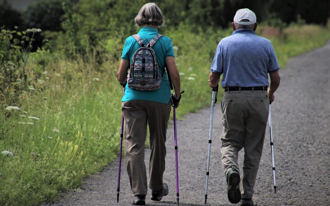 Two senior citizens walking together in a park