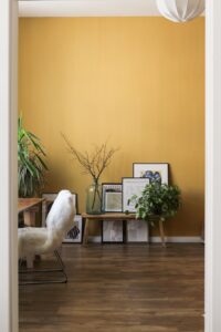 a room with an orange color wall and furniture