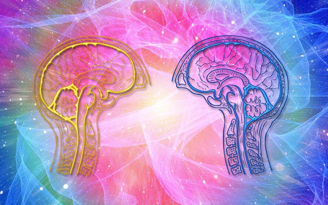 two brains facing each other to show consciousness connection between two individuals